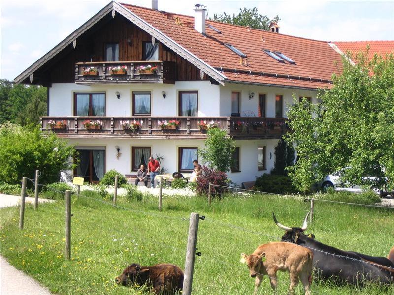 Beim Rieder Truchtlaching Exterior foto